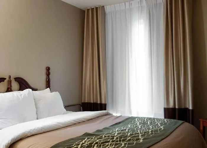 Quality & Near St Louis And I-255 Hotel