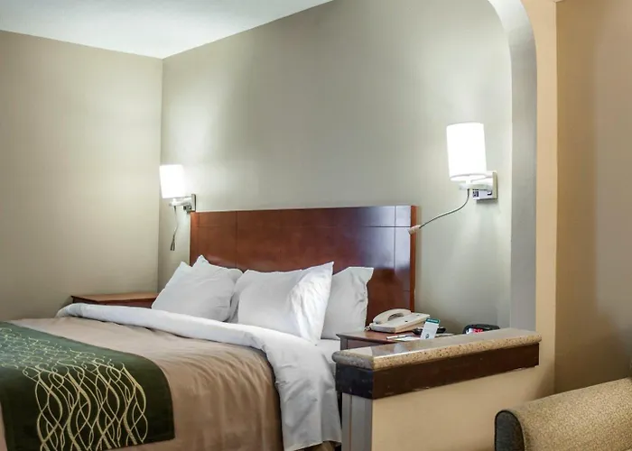 Hotel Quality & Near St Louis And I-255