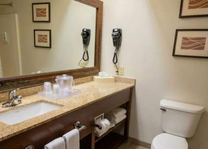 Quality & Near St Louis And I-255 Hotel Cahokia