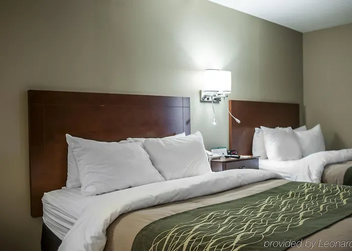 Hotel Quality & Near St Louis And I-255 Cahokia